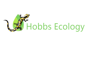 Hobbs Ecology